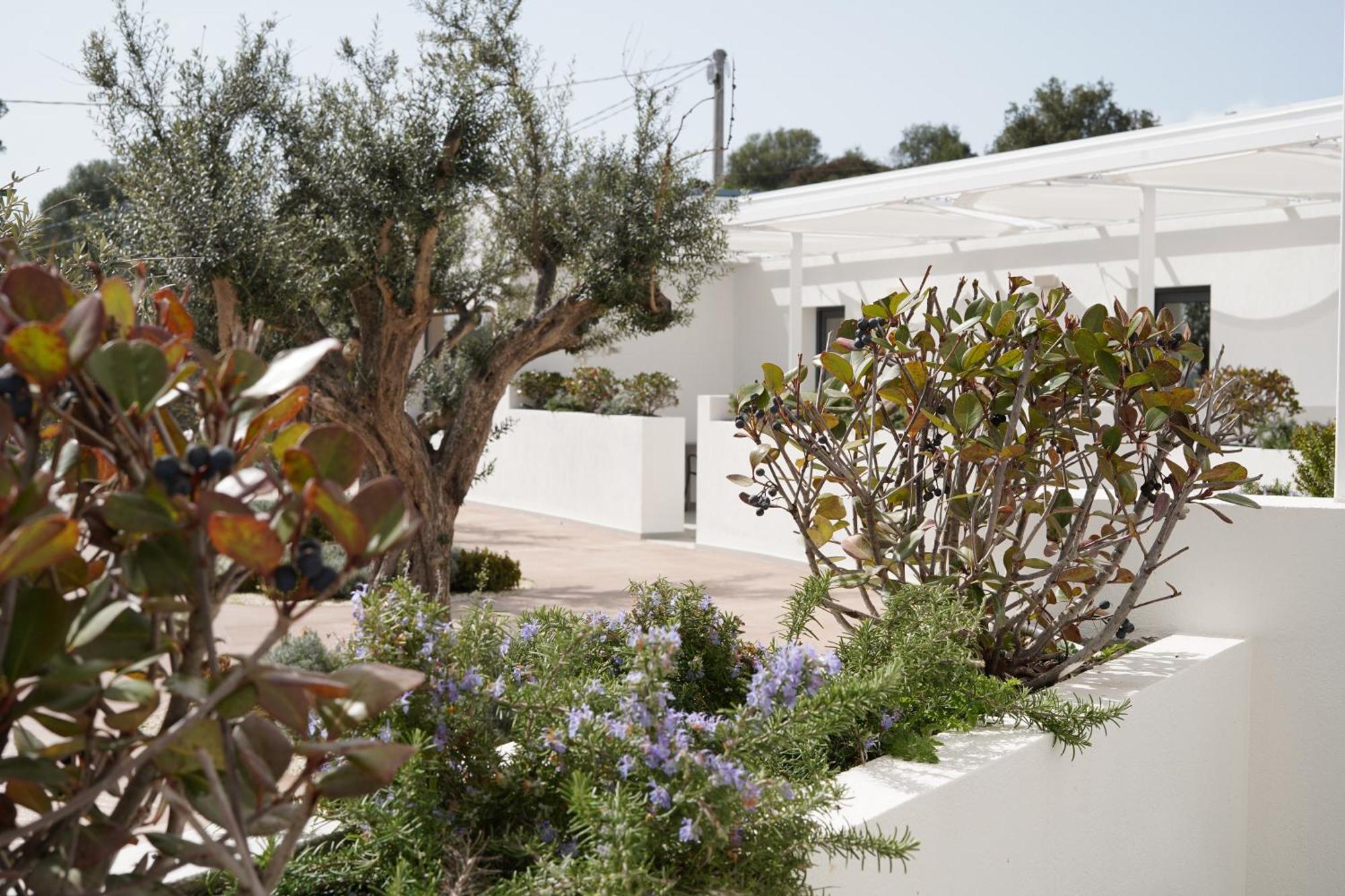 Tenuta San Marco Noto Eksteriør bilde